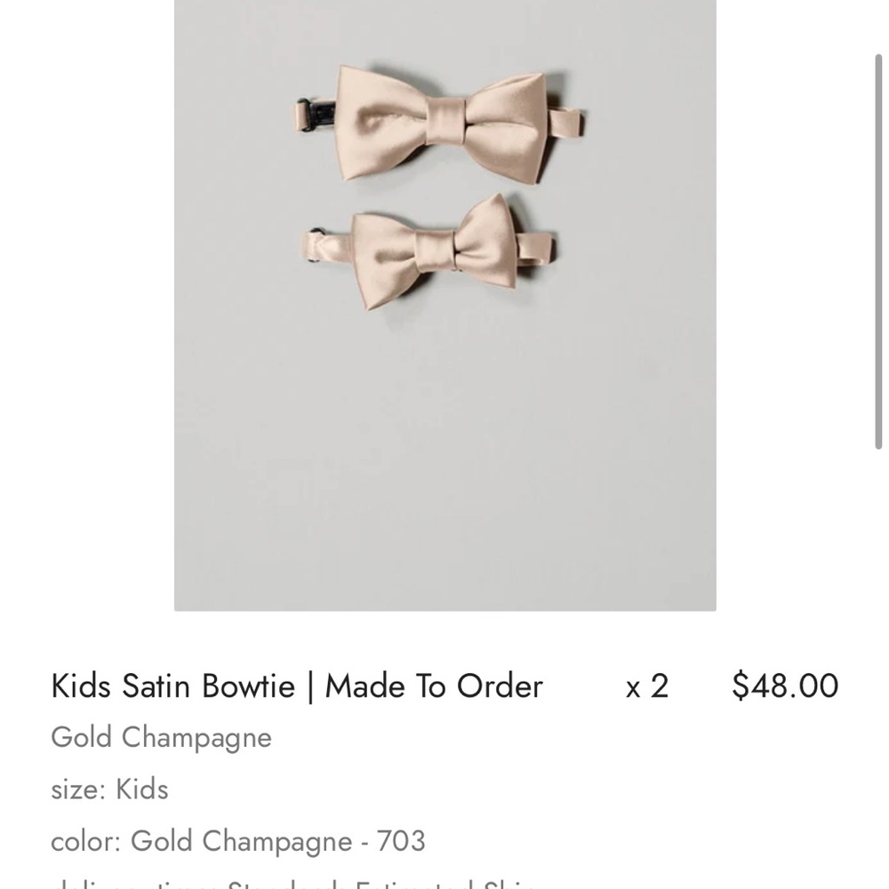 Revelry Kids Satin Bowtie Gold Champagne NWT